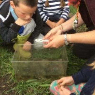 tadpole(5)